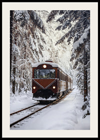 A train creates magic in the winter landscape.-2