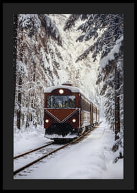 Un train crée de la magie dans le paysage hivernal.-4