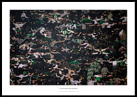Hammarby Supportrar 2025 No3-0