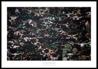 Hammarby Supportrar 2025 No3-0