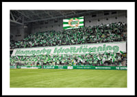 Hammarby Idrottsförening Tifo 2025-2