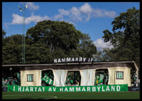 Hammarby Tifo Damallsvenskan 2025-2