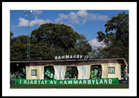 Hammarby Tifo Damallsvenskan 2025-2
