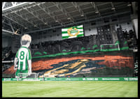 Hammarby - AIK Tifo 2025-2