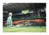Hammarby - AIK Tifo 2025-1