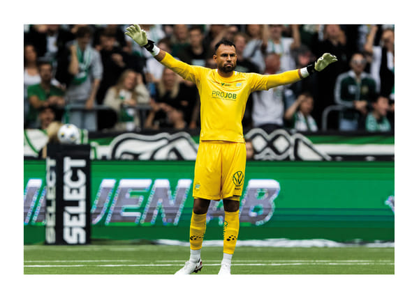 Poster Warner Hahn Hammarby 2025