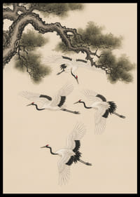 Graciosas garças planam sob um pinheiro centenário.-2