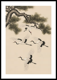 Graceful cranes soar beneath an ancient pine tree.-0