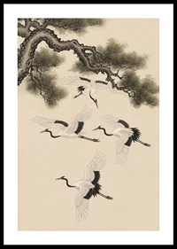 Graceful cranes soar beneath an ancient pine tree.-0