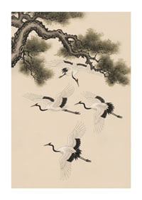 Graceful cranes soar beneath an ancient pine tree.-1