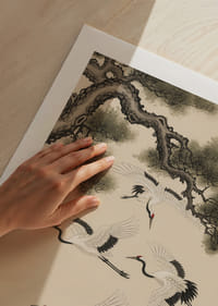 Graciosas garças planam sob um pinheiro centenário.-5