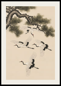 Graceful cranes soar beneath an ancient pine tree.-2