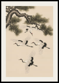 Graciösa tranor svävar under en forntida tall.-2