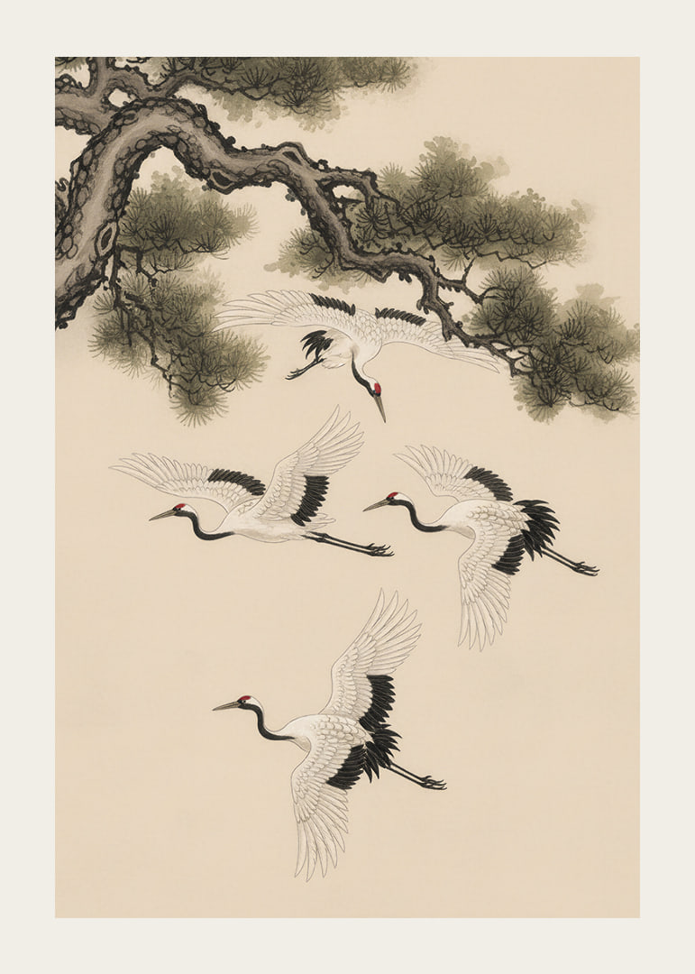 Graceful cranes soar beneath an ancient pine tree.-12