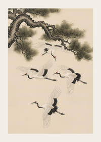 Graciösa tranor svävar under en forntida tall.-3