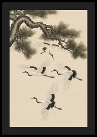 Graceful cranes soar beneath an ancient pine tree.-4