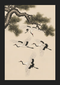 Graceful cranes soar beneath an ancient pine tree.-5