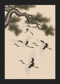 Graciösa tranor svävar under en forntida tall.-5