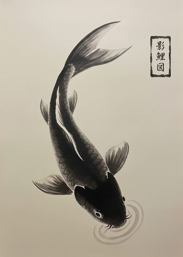 Uma elegante carpa koi flutua serenamente sobre a água.-12