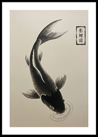 An elegant koi floats serenely over the water.-0
