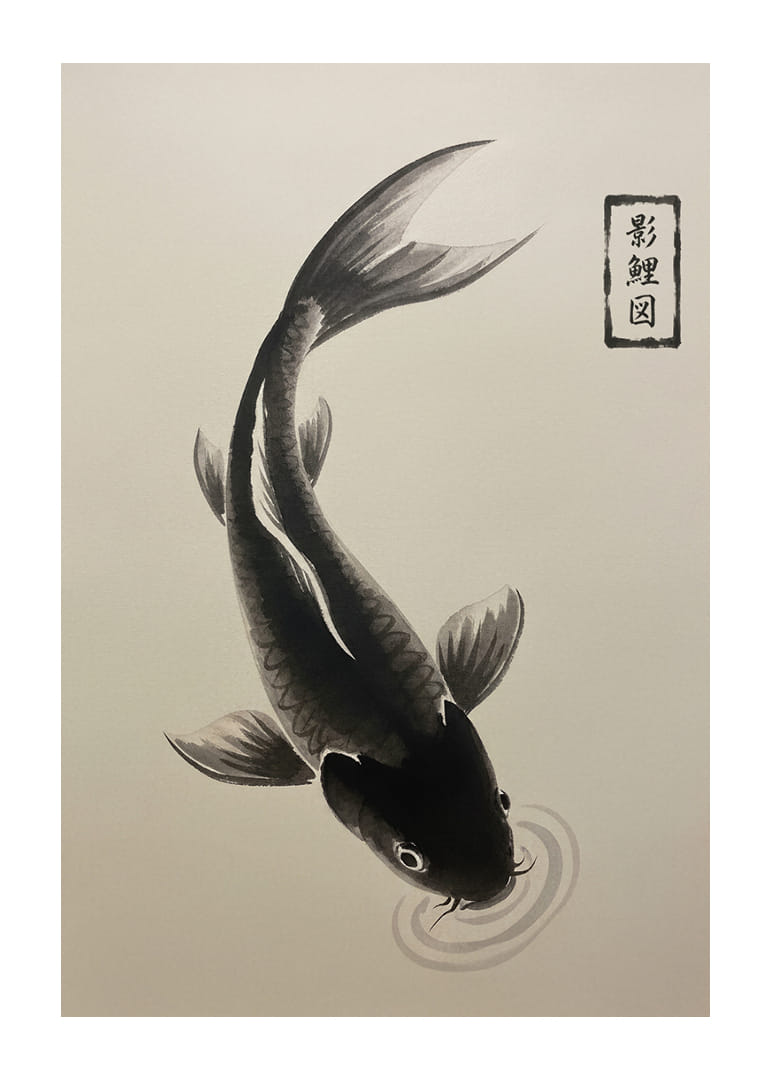 Uma elegante carpa koi flutua serenamente sobre a água.-12