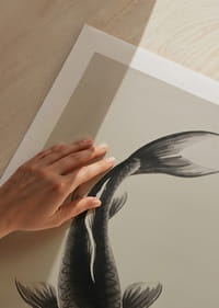 Uma elegante carpa koi flutua serenamente sobre a água.-5