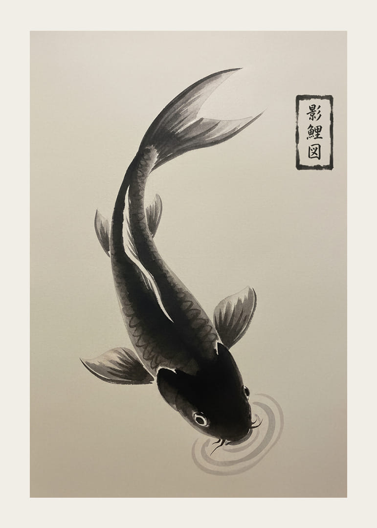 En elegant koi svävar stillsamt över vattnet.-12