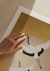 Graciosas garças planam em direção a um horizonte dourado.-5