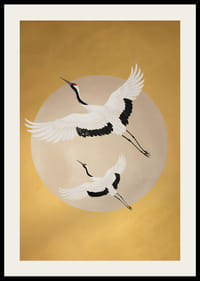 Graciösa tranor svävar mot en gyllene horisont.-2