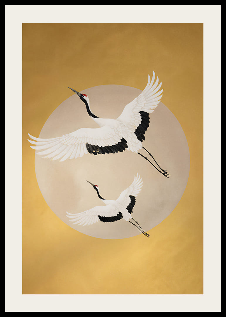 Graciösa tranor svävar mot en gyllene horisont.-12