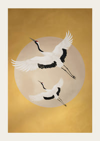 Graciösa tranor svävar mot en gyllene horisont.-3