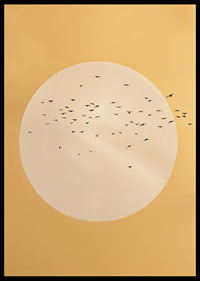 Birds soar in a golden sphere of tranquility and beauty.-6
