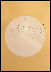 Linnud lendavad kuldses rahu ja ilu sfääris.-2