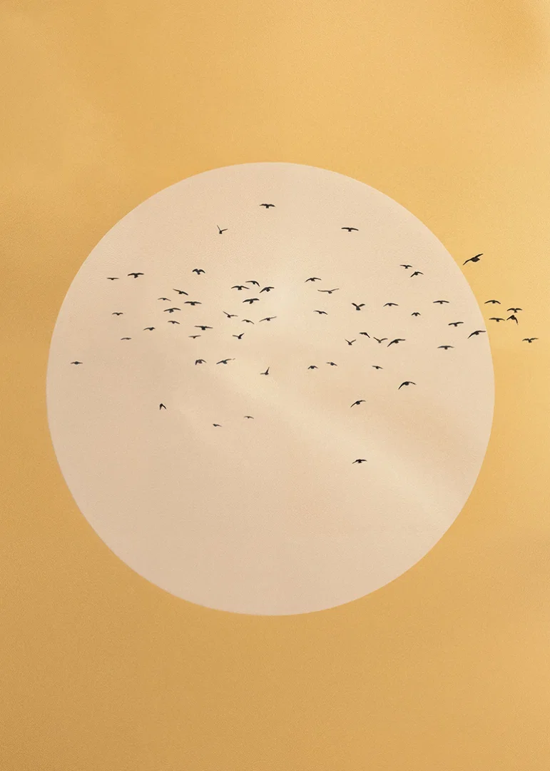 Birds soar in a golden sphere of tranquility and beauty.-12