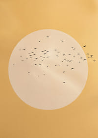 Linnud lendavad kuldses rahu ja ilu sfääris.-3