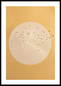 Birds soar in a golden sphere of tranquility and beauty.-0
