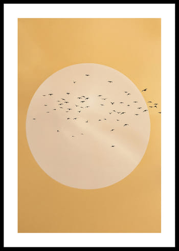 Poster Circle Of Sky