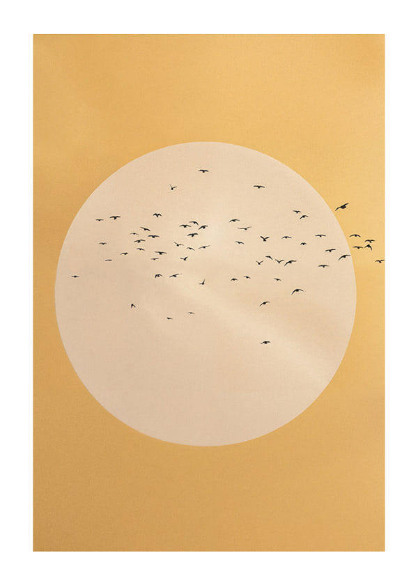 Poster Circle Of Sky
