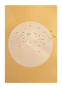 Birds soar in a golden sphere of tranquility and beauty.-1