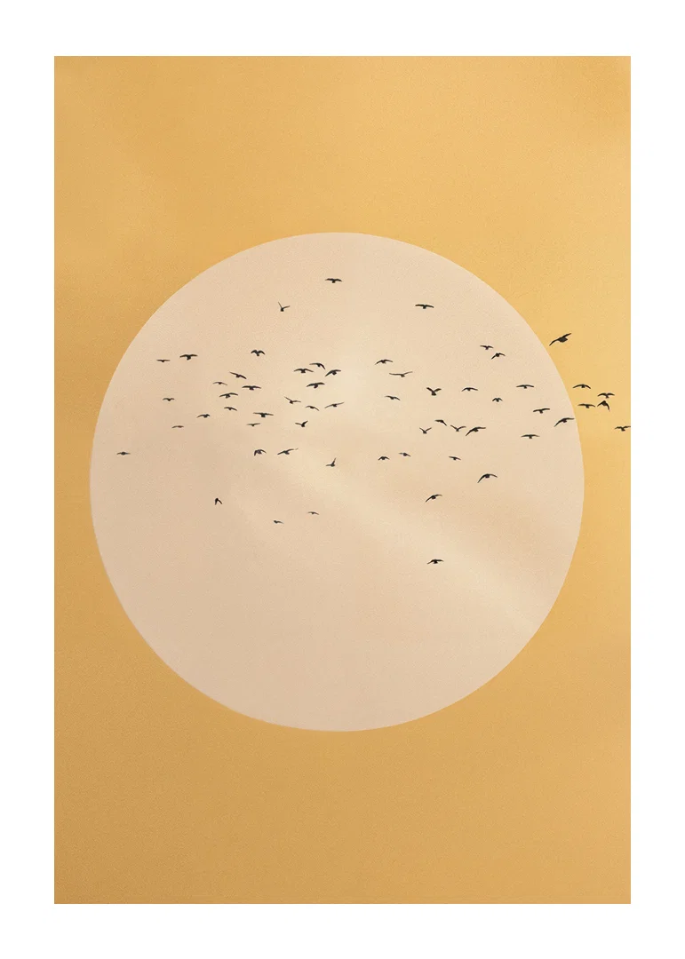 Birds soar in a golden sphere of tranquility and beauty.-12