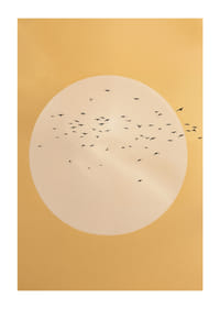 Linnud lendavad kuldses rahu ja ilu sfääris.-1