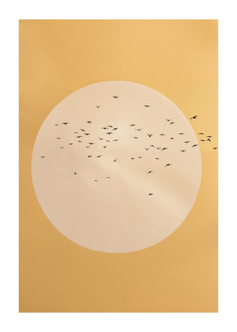 Linnud lendavad kuldses rahu ja ilu sfääris.-12