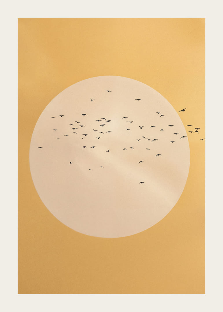 Fåglar svävar i en gyllene sfär av lugn och skönhet.-12