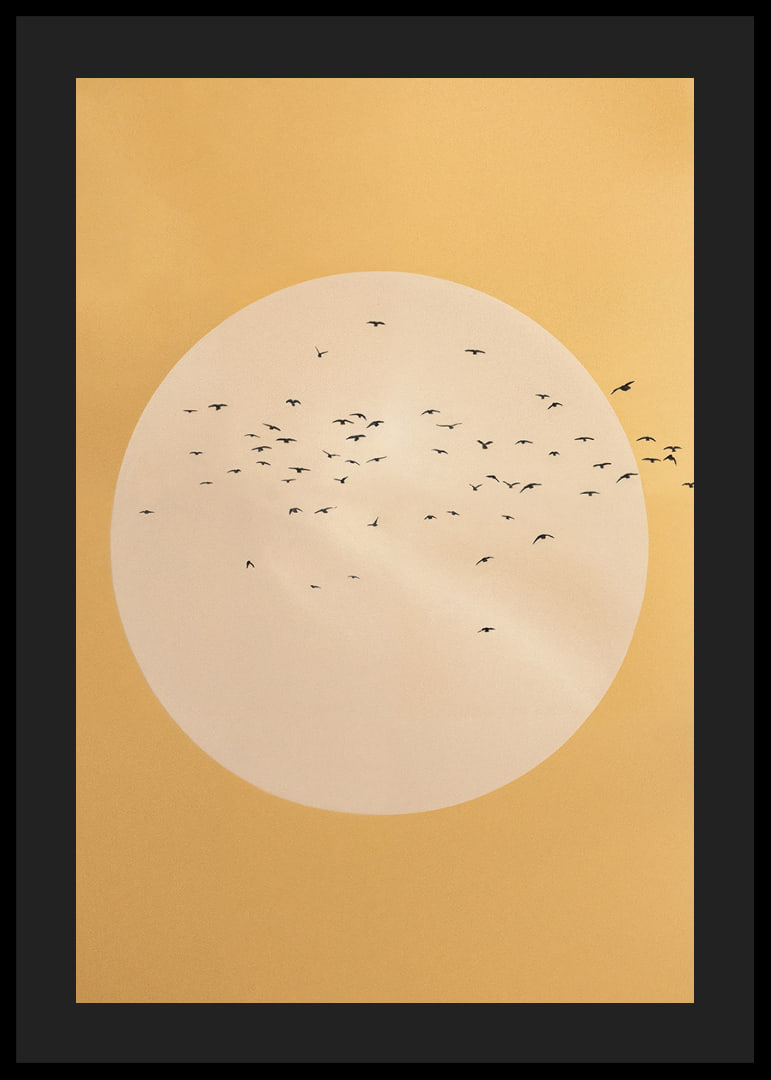 Birds soar in a golden sphere of tranquility and beauty.-12