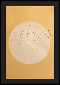 Fåglar svävar i en gyllene sfär av lugn och skönhet.-4