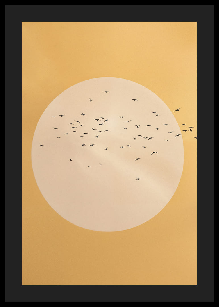 Fåglar svävar i en gyllene sfär av lugn och skönhet.-12