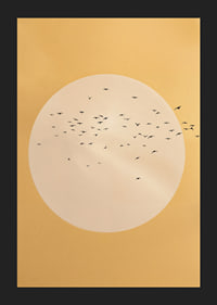 Birds soar in a golden sphere of tranquility and beauty.-5
