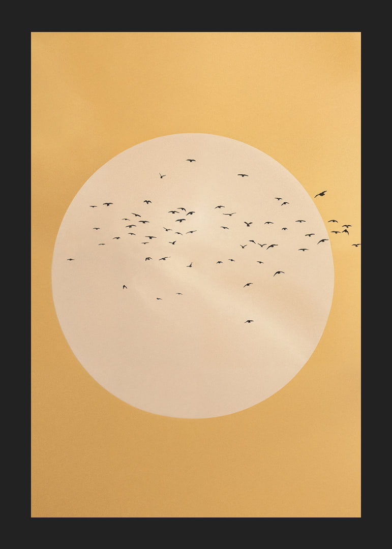 Birds soar in a golden sphere of tranquility and beauty.-12