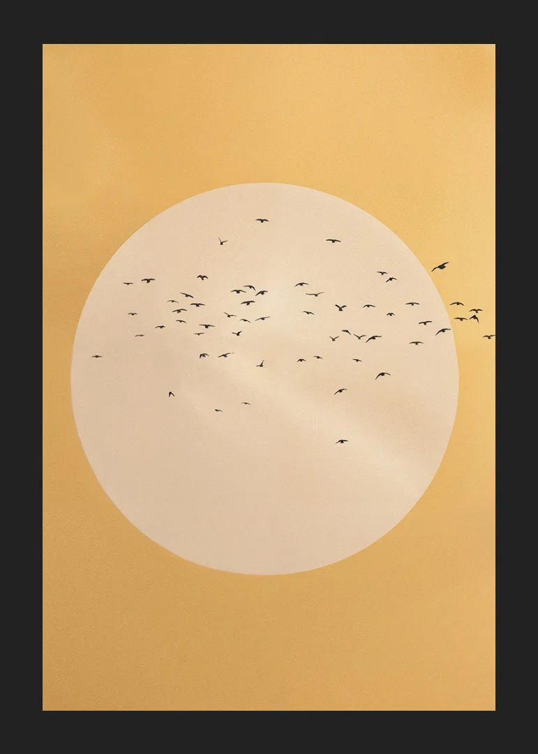 Birds soar in a golden sphere of tranquility and beauty.-12
