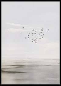 Birds soar in a soft sky over a calm sea.-6